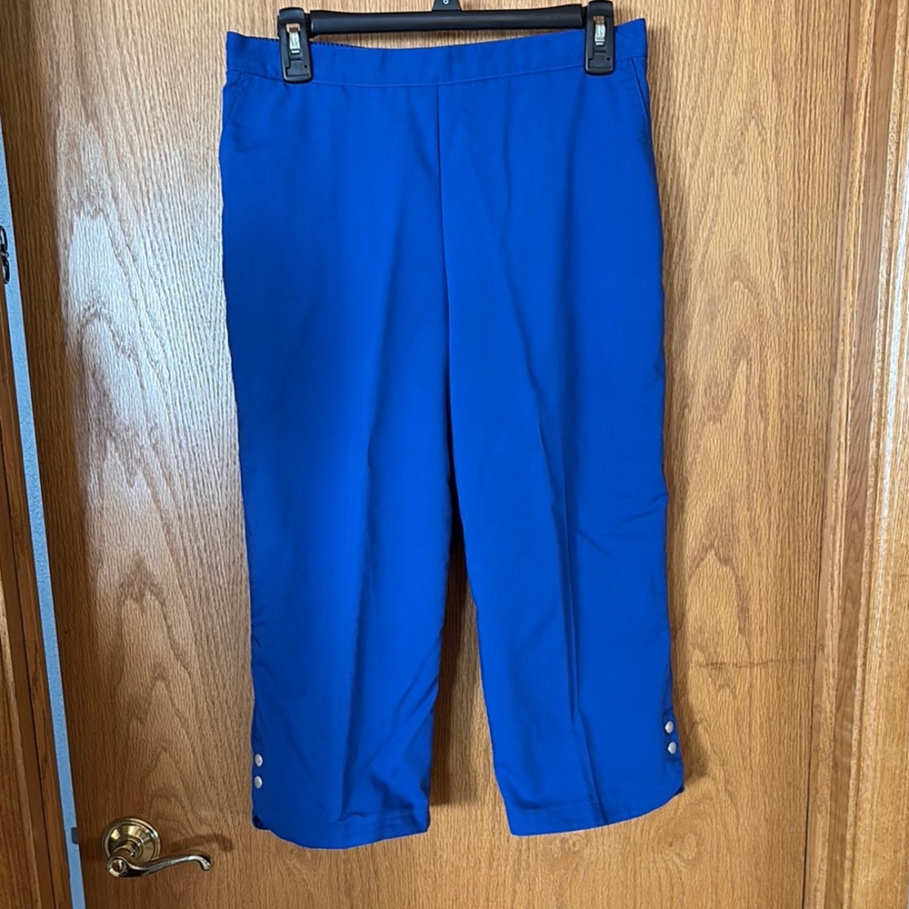 Vibrant Blue Cropped Pants